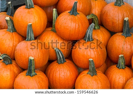 Several small to medium sized orange pumpkins are display at a farmers market produce stand at fall harvest time.