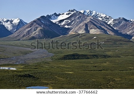Denali National Park tundra and mountains.