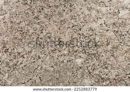 Splendor gold - granite background, texture in light color for your unique interior. Detail slab photo. Brown marble, chaotic rugged dark and beige stripes. Natural materials for interior decoration. Foto d'archivio © 