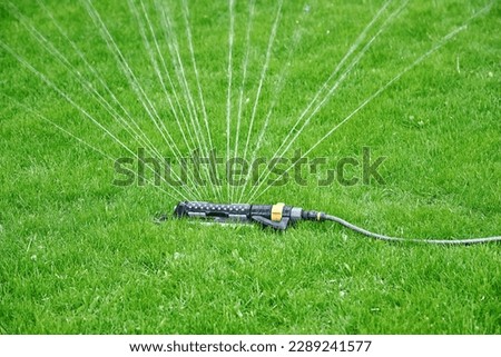 Similar – Image, Stock Photo Oscillation Garden