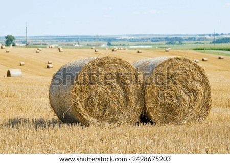 Similar – Image, Stock Photo Yellow golden bales of hay straw in stubble field after harvesting season in agriculture, selective focus