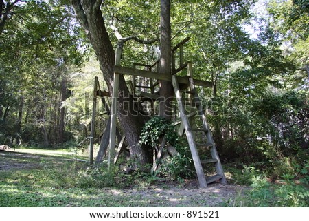 delapodated tree house