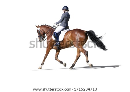 Similar – Image, Stock Photo horseman and horsewoman