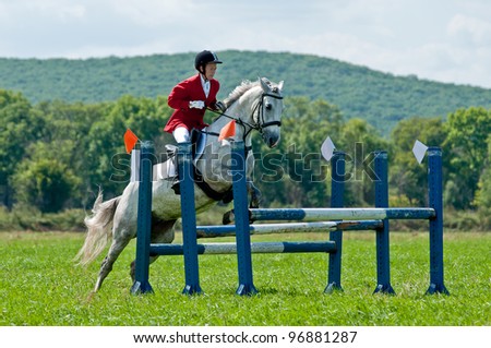ARSENEV, RUSSIA - SEPTEMBER 03:  Unidentified rider in action rides horse show jumps at the Riding show \