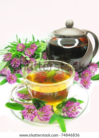 herbal floral tea with clover flowers in cup and teapot