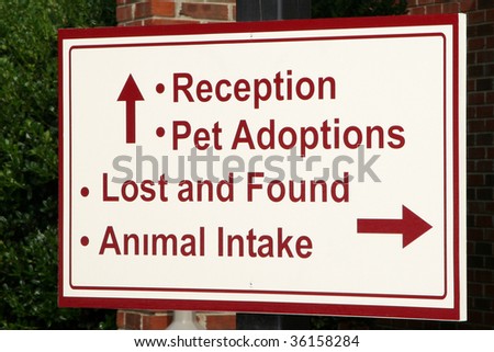 Adopting a pet or bringing in stray animals are all necessary services provided by animal shelters.