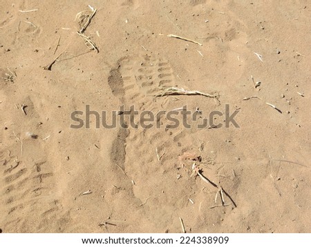 Shoe tracks in sand.