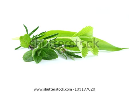 Fresh herbs from garden on white background