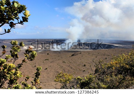 Hawaii volcanoes National Park - crater on the caldera Halemaumau. Kilauea volcano and endemic Lehua tree