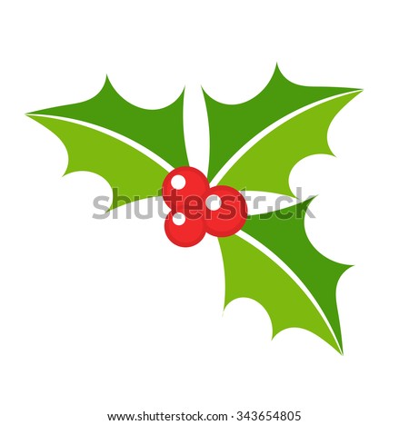 Holly berry leaves Christmas symbol. Vector illustration