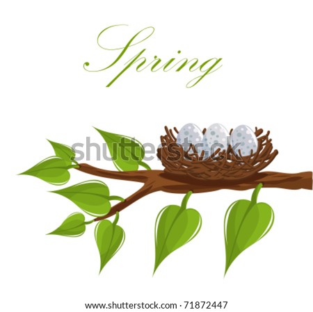 Bird Nest On The Tree Branch. Spring Is Coming! Vector Illustration ...