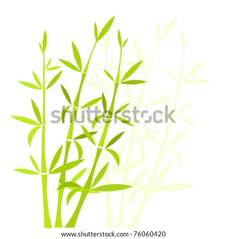 Bamboo background. Vector frame