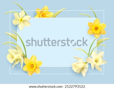 Romantic delicate background with floral border of daffodils. Template for greeting card, invitation. Vector illustration. Foto stock © 