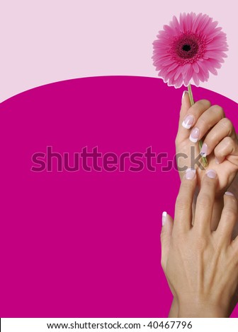 Beautiful french manicured hands holding flowers