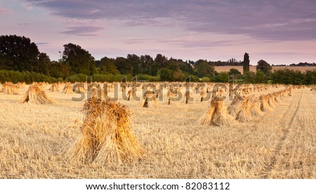 Traditional wheat sheaves