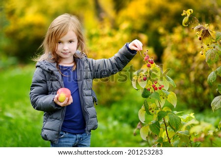 Cute little preschooler girl picking late raspberries on beautiful autumn day