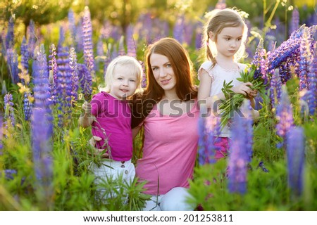 Two cute little sisters and their mother in blooming lupine field