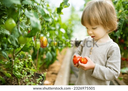 Similar – Image, Stock Photo Child holding green pepper