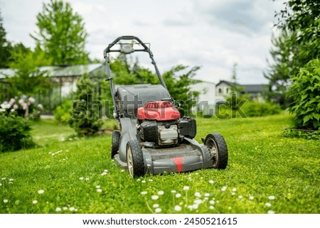 Similar – Image, Stock Photo Meadow on the backyard of residential houses with trees and bushes