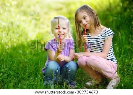 Two cute little sisters gathering wild strawberries on a sunny summer day