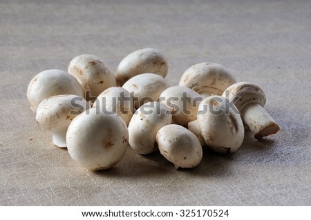Mushrooms isolated on a  wallpaper background. Agaricus bisporus.