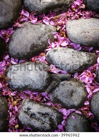 Bird\'s eye view of a garden path with stones and pink lilac petals.