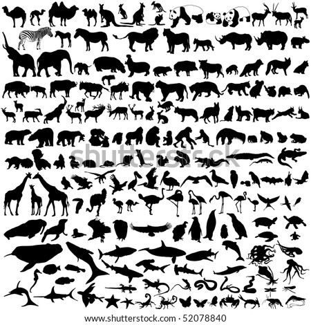 collection of wild animal silhouettes