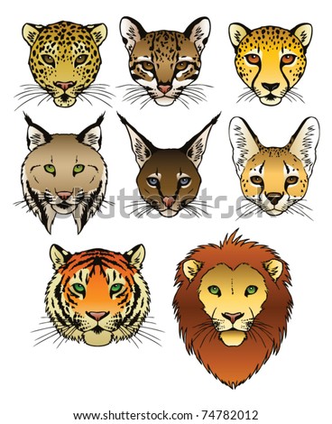 A Set Of 8 Large Predatory Cat Heads. Eps 8 Vector. - 74782012 ...