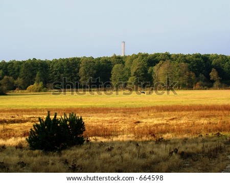 Universal Landscape - forest, field, pasture, meadow and town.