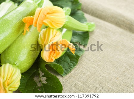 Marrow squash with flowers on canvas background.