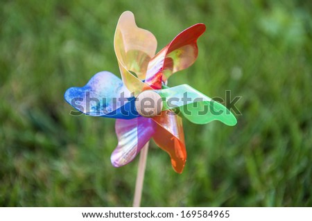 colorful wind rose (pinwheel)