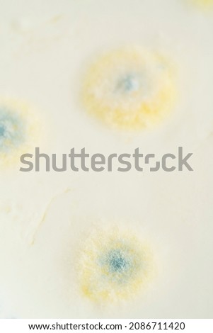 Similar – Image, Stock Photo Expiration date exceeded