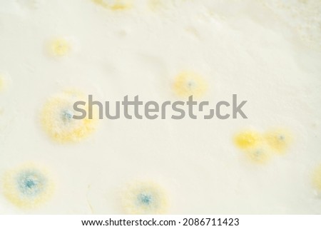 Similar – Image, Stock Photo Expiration date exceeded