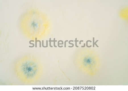 Similar – Image, Stock Photo Expiration date exceeded