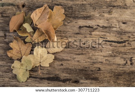 autumn template with dried autumn leaves on wooden background with copy space