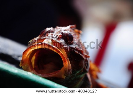fish with big opened mouth