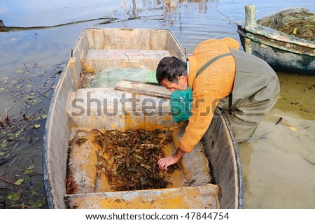 fisherman picking lobsters from boat