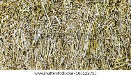One side of a bale of straw, great fall/harvest background.