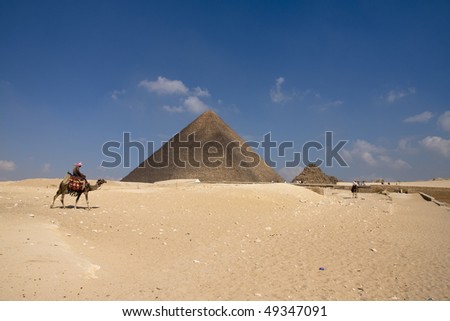 A single person on the camel passing by the pyramid in Egypt.