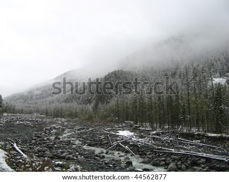gray winter mountains