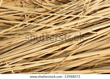 Dried rice straw placed in the same sequence.