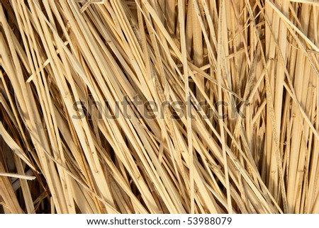 Dried rice straw placed in the same sequence.