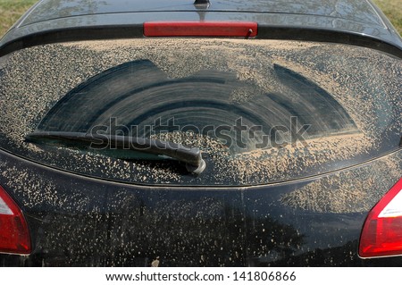 Dirty rear windshield of a rally car with wiper