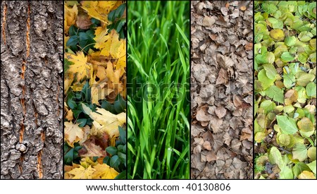 Collage of a five autumn backgrounds. Wood, grass, leaves.
