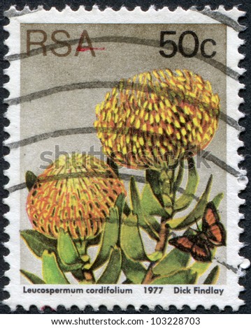 SOUTH AFRICA - CIRCA 1977: A stamp printed in South Africa (RSA), a flower bush Leucospermum cordifolium, circa 1977