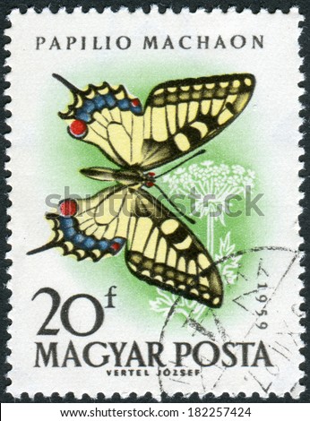 HUNGARY - CIRCA 1959: Postage stamp printed in Hungary, shown butterfly Old World Swallowtail (Papilio machaon), circa 1959