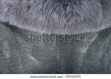 Gray suede and fur collar. Focus on the fur
