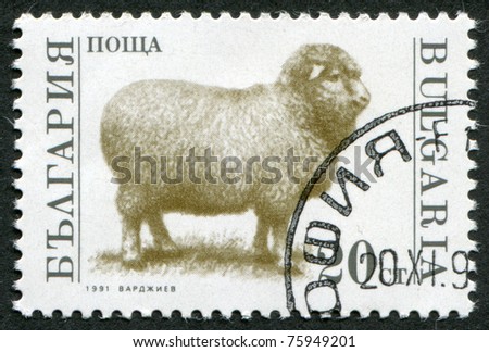 BULGARIA-CIRCA 1991: A stamp printed in the Bulgaria, devoted to the animals on the farm, Sheep, circa 1991