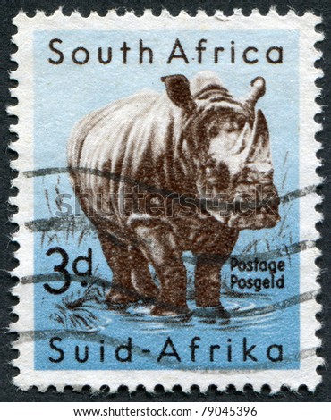 SOUTH AFRICA-CIRCA 1954: A stamp printed in the South Africa, depicts animals from Kruger National Park, White Rhinoceros, circa 1954