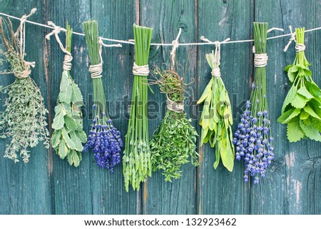 Various fresh herbs hanging in bundle on an old hut